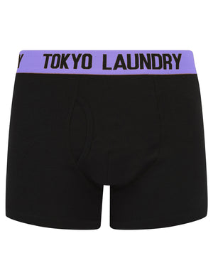 Winders (2 Pack) Boxer Shorts Set in Dahlia Purple / Diva Blue - Tokyo Laundry