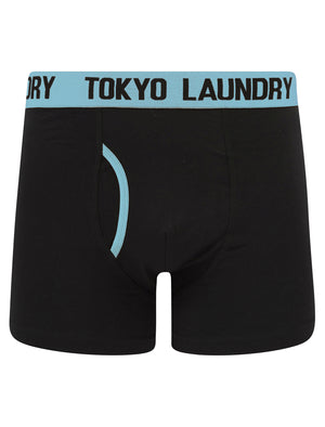 Wilton (2 Pack) Boxer Shorts Set in Blue Bell / Sky Captain Navy - Tokyo Laundry