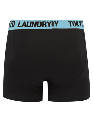 Wilton (2 Pack) Boxer Shorts Set in Blue Bell / Sky Captain Navy - Tokyo Laundry