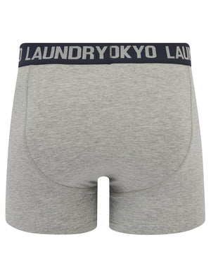 Wilton (2 Pack) Boxer Shorts Set in Blue Bell / Sky Captain Navy - Tokyo Laundry