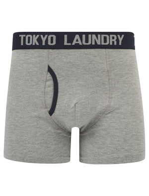 Wilton (2 Pack) Boxer Shorts Set in Blue Bell / Sky Captain Navy - Tokyo Laundry