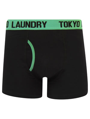 Wilton (2 Pack) Boxer Shorts Set in Dusty Jade Green / Moonlite Mauve - Tokyo Laundry