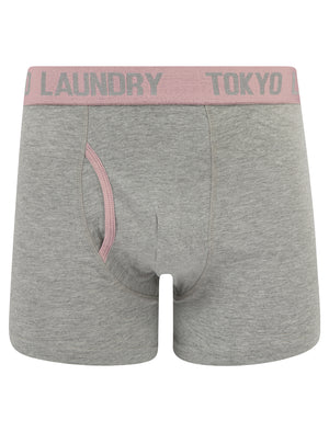 Wilton (2 Pack) Boxer Shorts Set in Dusty Jade Green / Moonlite Mauve - Tokyo Laundry