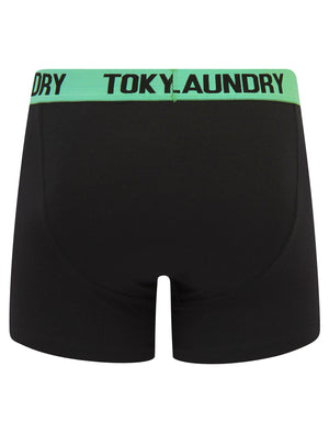 Wilton (2 Pack) Boxer Shorts Set in Dusty Jade Green / Moonlite Mauve - Tokyo Laundry