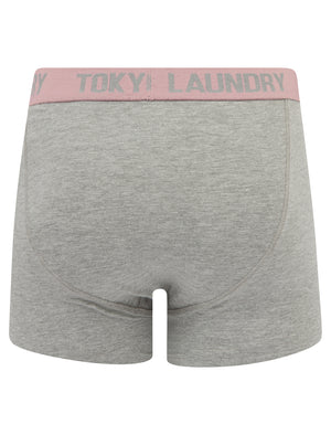 Wilton (2 Pack) Boxer Shorts Set in Dusty Jade Green / Moonlite Mauve - Tokyo Laundry