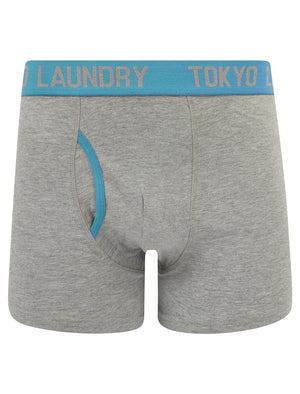 Wilton (2 Pack) Boxer Shorts Set in Peach Amber / Blue Moon - Tokyo Laundry