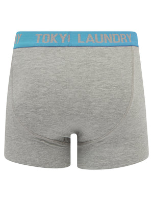 Wilton (2 Pack) Boxer Shorts Set in Peach Amber / Blue Moon - Tokyo Laundry