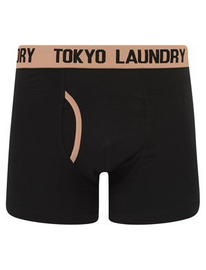 Wilton (2 Pack) Boxer Shorts Set in Peach Amber / Blue Moon - Tokyo Laundry