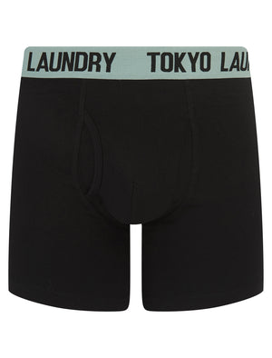 Jack (2 Pack) Long Length Boxer Shorts Set in Light Grey Marl / Jadeite Green - Tokyo Laundry