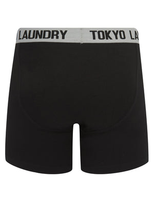 Jack (2 Pack) Long Length Boxer Shorts Set in Light Grey Marl / Jadeite Green - Tokyo Laundry