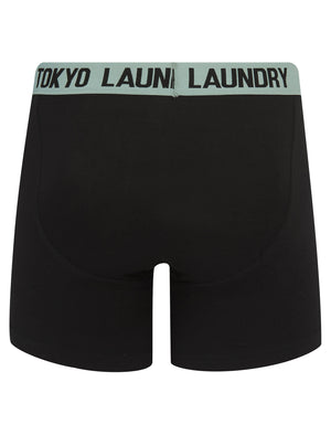 Jack (2 Pack) Long Length Boxer Shorts Set in Light Grey Marl / Jadeite Green - Tokyo Laundry