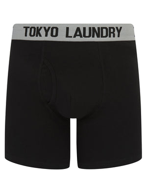 Jack (2 Pack) Long Length Boxer Shorts Set in Light Grey Marl / Jadeite Green - Tokyo Laundry