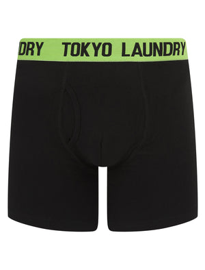 Jack (2 Pack) Long Length Boxer Shorts Set in Veiled Pink / Light Green - Tokyo Laundry