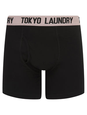 Jack (2 Pack) Long Length Boxer Shorts Set in Veiled Pink / Light Green - Tokyo Laundry