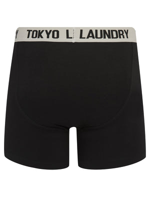 Jack (2 Pack) Long Length Boxer Shorts Set in Jet Stream White / Quiet Harbor Blue - Tokyo Laundry