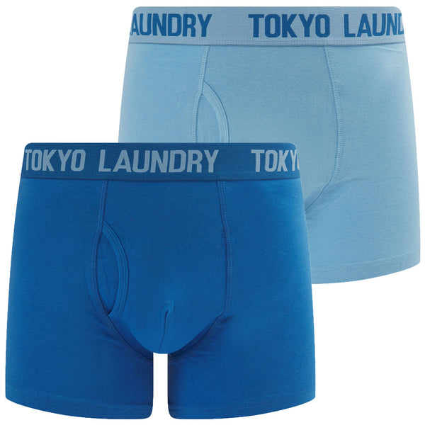 Whiston 2 (2 Pack) Boxer Shorts Set in Frozen Fjord / Nebulas Blue - Tokyo Laundry