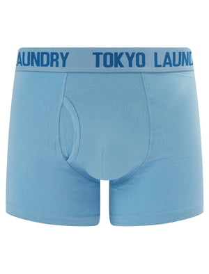 Whiston 2 (2 Pack) Boxer Shorts Set in Frozen Fjord / Nebulas Blue - Tokyo Laundry