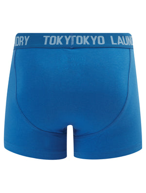 Whiston 2 (2 Pack) Boxer Shorts Set in Frozen Fjord / Nebulas Blue - Tokyo Laundry