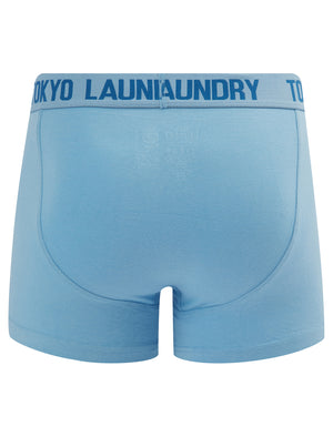 Whiston 2 (2 Pack) Boxer Shorts Set in Frozen Fjord / Nebulas Blue - Tokyo Laundry