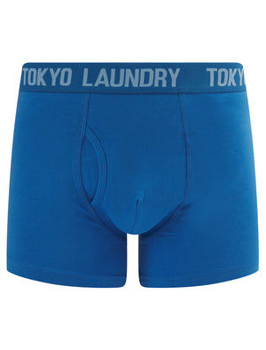 Whiston 2 (2 Pack) Boxer Shorts Set in Frozen Fjord / Nebulas Blue - Tokyo Laundry
