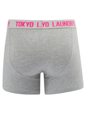Whiston 2 (2 Pack) Boxer Shorts Set in Light Grey Marl / Fuchsia Pink - Tokyo Laundry