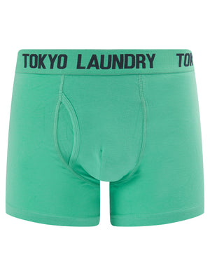 Whiston 2 (2 Pack) Boxer Shorts Set in Pool Blue / Sky Captain Navy - Tokyo Laundry
