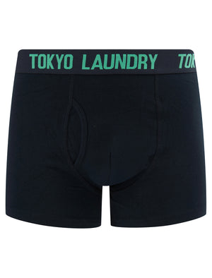 Whiston 2 (2 Pack) Boxer Shorts Set in Pool Blue / Sky Captain Navy - Tokyo Laundry
