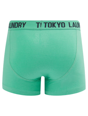 Whiston 2 (2 Pack) Boxer Shorts Set in Pool Blue / Sky Captain Navy - Tokyo Laundry