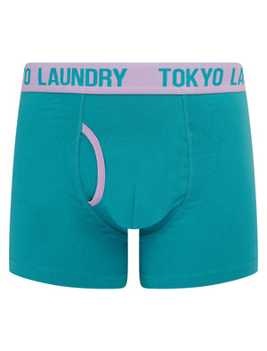Westhorpe 2 (2 Pack) Boxer Shorts Set in Crocus Petal / Blue Moon  - Tokyo Laundry