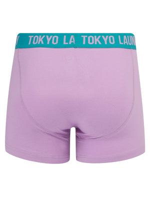Westhorpe 2 (2 Pack) Boxer Shorts Set in Crocus Petal / Blue Moon  - Tokyo Laundry