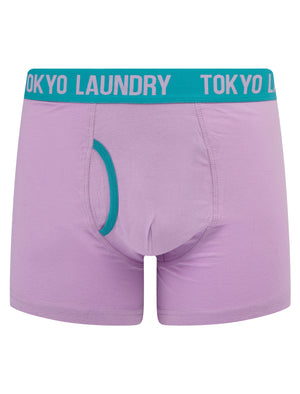 Westhorpe 2 (2 Pack) Boxer Shorts Set in Crocus Petal / Blue Moon  - Tokyo Laundry