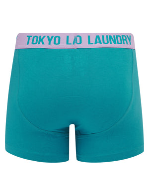 Westhorpe 2 (2 Pack) Boxer Shorts Set in Crocus Petal / Blue Moon  - Tokyo Laundry