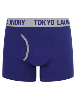 Westhorpe 2 (2 Pack) Boxer Shorts Set in Light Grey Marl / Spectrum Blue - Tokyo Laundry