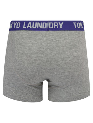 Westhorpe 2 (2 Pack) Boxer Shorts Set in Light Grey Marl / Spectrum Blue - Tokyo Laundry