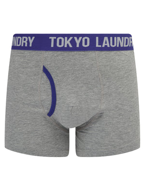 Westhorpe 2 (2 Pack) Boxer Shorts Set in Light Grey Marl / Spectrum Blue - Tokyo Laundry