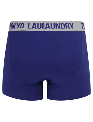 Westhorpe 2 (2 Pack) Boxer Shorts Set in Light Grey Marl / Spectrum Blue - Tokyo Laundry