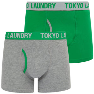 Whitehead 2 (2 Pack) Boxer Shorts Set in Green Bee / Light Grey Marl - Tokyo Laundry