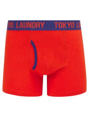 Whitehead 2 (2 Pack) Boxer Shorts Set in Cherry Tomato / Spectrum Blue - Tokyo Laundry