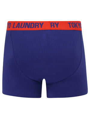 Whitehead 2 (2 Pack) Boxer Shorts Set in Cherry Tomato / Spectrum Blue - Tokyo Laundry