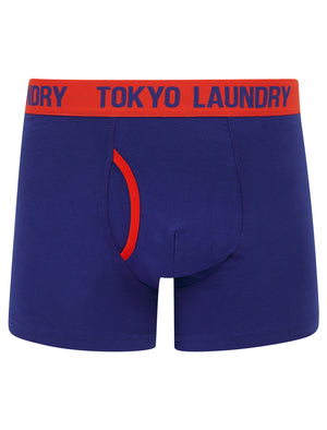 Whitehead 2 (2 Pack) Boxer Shorts Set in Cherry Tomato / Spectrum Blue - Tokyo Laundry