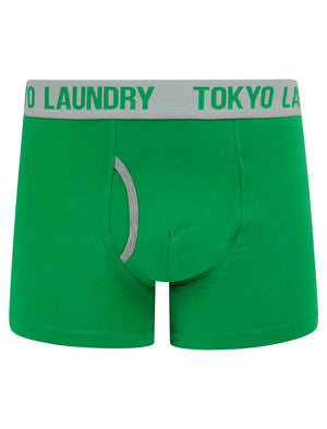 Whitehead 2 (2 Pack) Boxer Shorts Set in Green Bee / Light Grey Marl - Tokyo Laundry