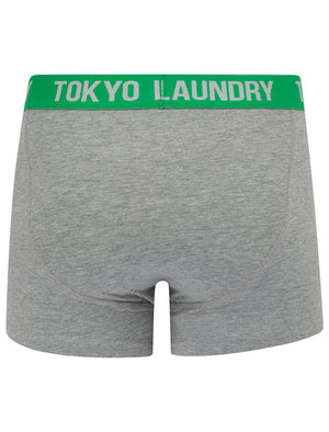 Whitehead 2 (2 Pack) Boxer Shorts Set in Green Bee / Light Grey Marl - Tokyo Laundry