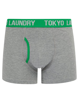 Whitehead 2 (2 Pack) Boxer Shorts Set in Green Bee / Light Grey Marl - Tokyo Laundry