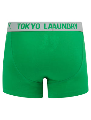 Whitehead 2 (2 Pack) Boxer Shorts Set in Green Bee / Light Grey Marl - Tokyo Laundry