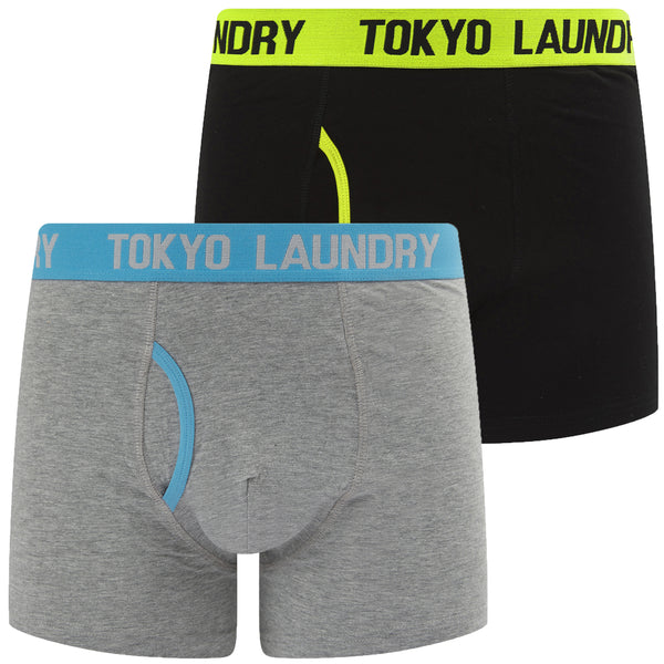 Wilton 2 (2 Pack) Boxer Shorts Set in Love Bird Green / Azure Blue - Tokyo Laundry