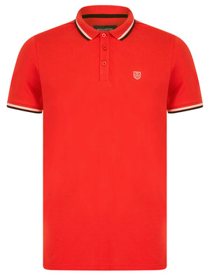 Moore (2 Pack) Cotton Pique Polo Shirt in Blue Yonder / Cayenne - Kensington Eastside