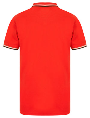 Saints Cotton Pique Polo Shirt in Cayenne - Kensington Eastside