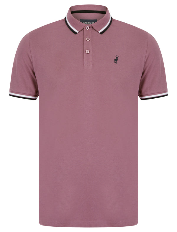 Underwood 2 Cotton Pique Polo Shirt in Grapeade - Kensington Eastside