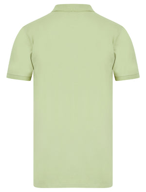 Mortimer 2 Signature Cotton Pique Polo Shirt in Sage Green - Tokyo Laundry