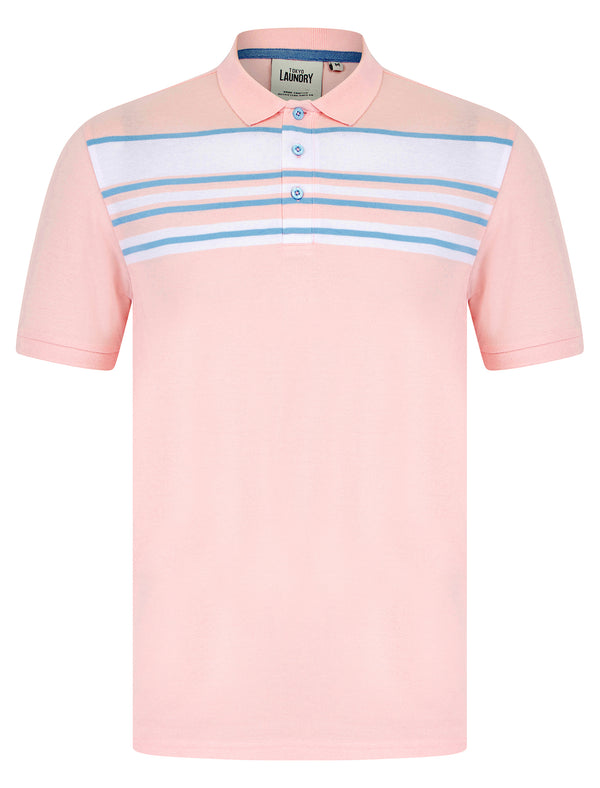 Hayden Yarn Dyed Stripe Cotton Pique Polo Shirt in Pinkesque - Tokyo Laundry